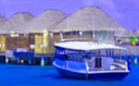 ���ټ������(hu��)��(sh��)�`�ĵ��w��(hu��)