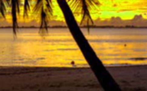 ���ڽY(ji��)���������İ�