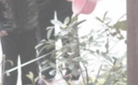 ��Ҋ������ô�k