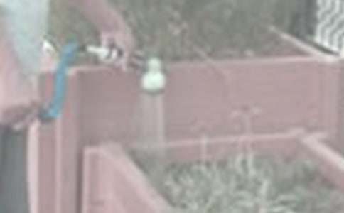 �����x����������x��