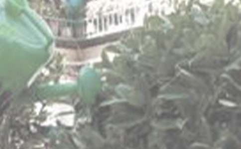 �P�ڝ�������[ͨ��]