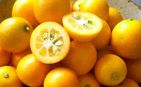 �҃�(n��i)��ۘ�(sh��)���B(y��ng)ֳ����