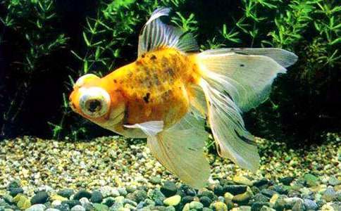 �ɐ۵�С���~����3ƪ[���A]