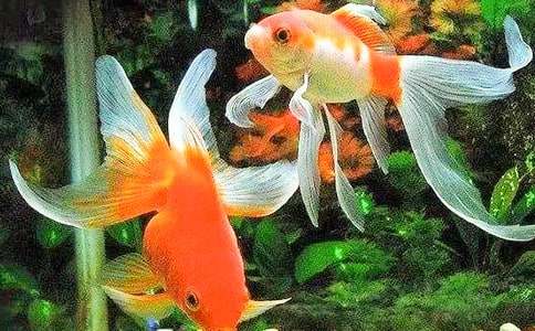 ���ϼ����ɐ�(��i)��С���~(y��)����