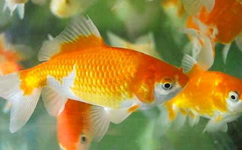 �I���~����15ƪ�����]��