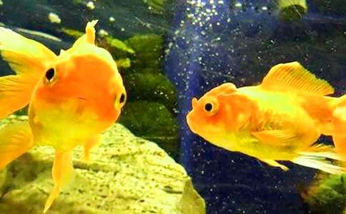 ���~(y��)�^������(15ƪ)