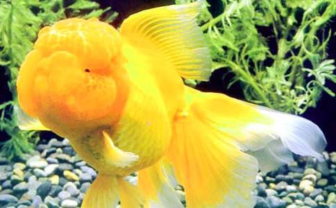 �ҼҵĽ��~(y��)����