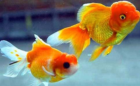 ���~�^������