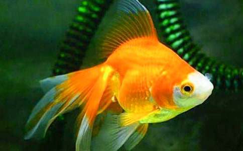 ���~��(d��ng)������