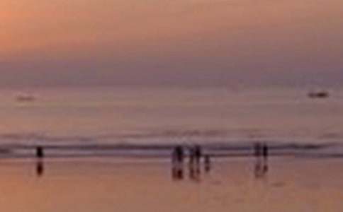 �茑��Ȼ��ɫ������