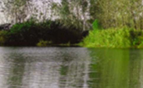 �茑��Ȼ��ɫ��Ԋ��