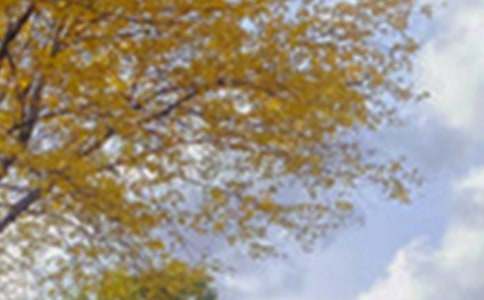 ������ɫ����