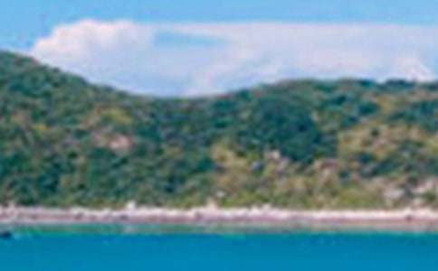 ð�U(xi��n)�u��ɫ������