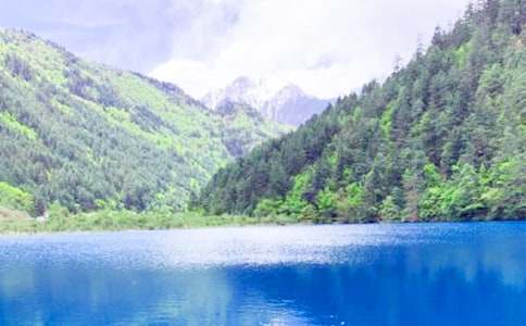 ����ľ�կ������[�ϼ�]