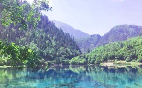 �����ľ�կ������