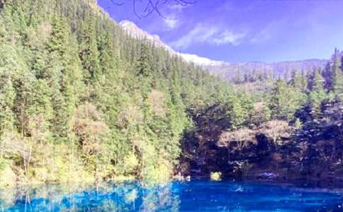 ���꼉(j��)�Z(y��)�ġ���կ�ϡ��u(p��ng)�n��