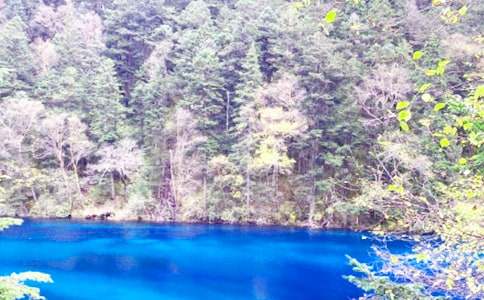 3�·�ȥ��կ�ϵ�������������