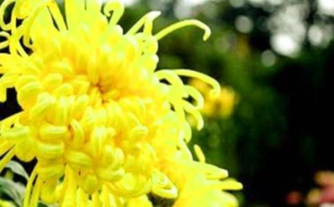 �����A���ջ������ĺϼ���ƪ