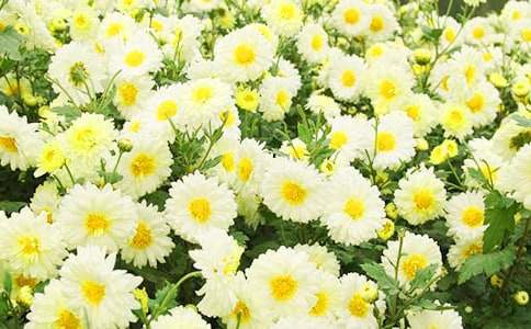 �P(gu��n)�ھջ�������