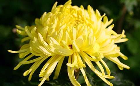 �ջ�������