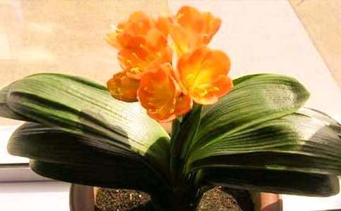 �����m����