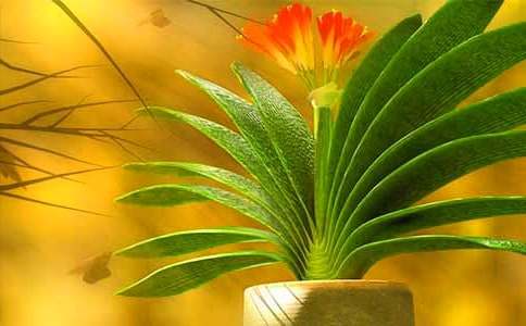 �����m���ąR����15ƪ��