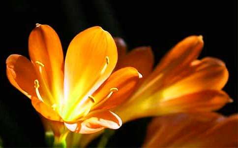 (��(sh��)��)�����m����