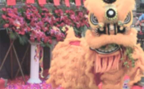 ��˾�_(k��i)�I(y��)��Y�ϵ��vԒ��