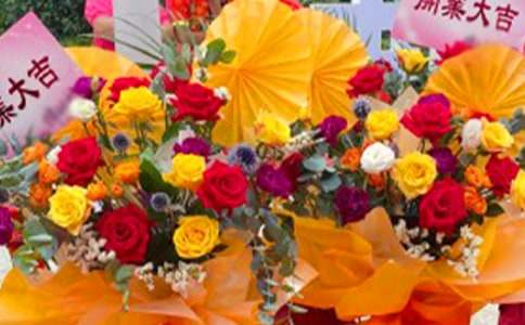 �_����Ո��