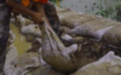 ����ȞĂ������M���E