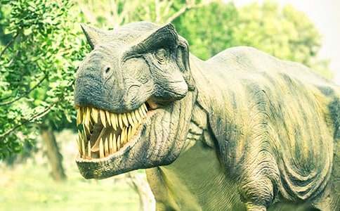  ���������и�2ƪ��ͨ�á�