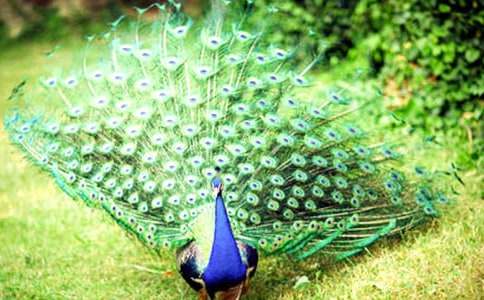 ��ȸ�~��������