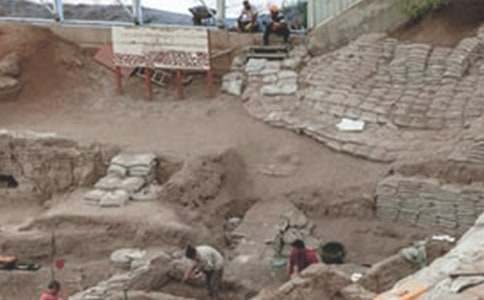 �V�����C��