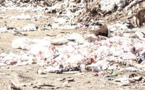 ����̎��f(xi��)�h��