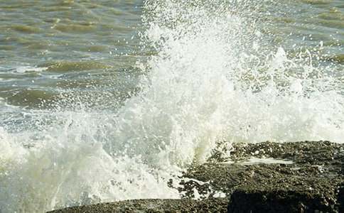 һ���������˻�����15ƪ