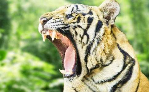 �ϻ�������15ƪ(�])