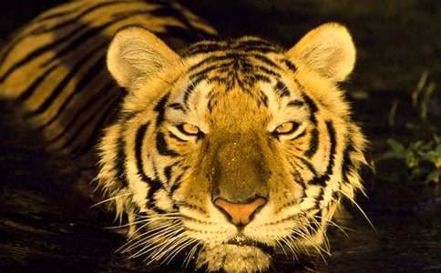 ���ϻ���ʲô��˼-���ϻ��ͳ�������