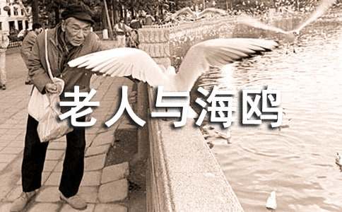 �����c���t�x���