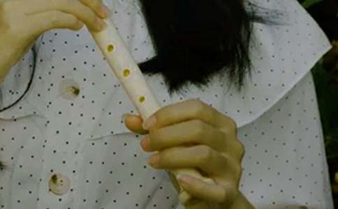 �����V���Z11ƪ