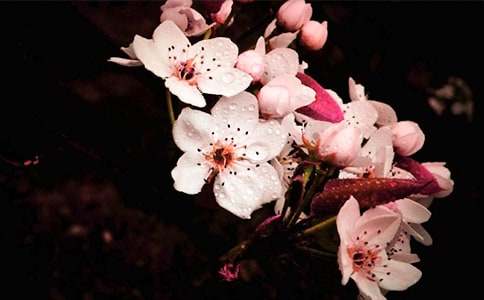 Ԋ�侫�x���滨��Ԋ��