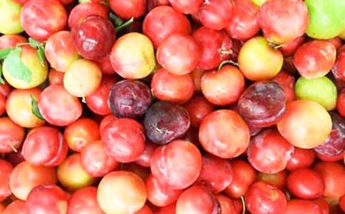 �R���{��Ͽ�����W��ʲô��С����