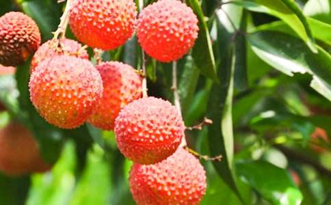 ����������֦���̌W(xu��)�O(sh��)Ӌ(j��)