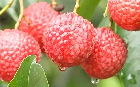 ������������֦�����̌W(xu��)�O(sh��)Ӌ