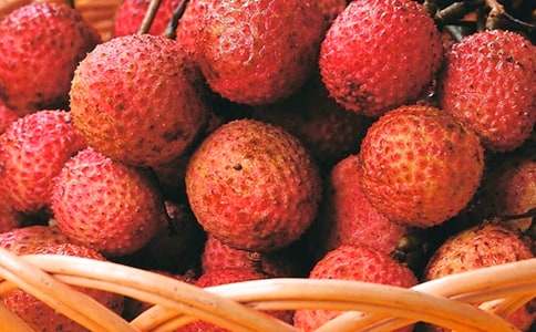 ���L(zh��ng)������֦���x��С����ϡ�