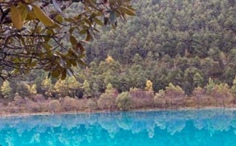 �����ų������İ�