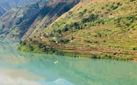 �����ų�����