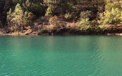 �����ų�����15ƪ