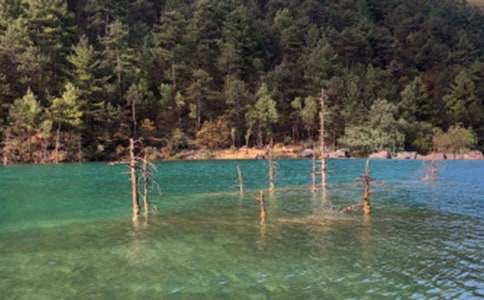 ���������ĵ��w�����̃�(y��u)��