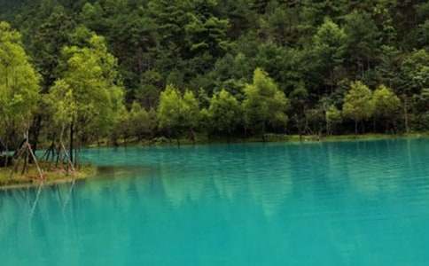 �����ų�����(ͨ��15ƪ)