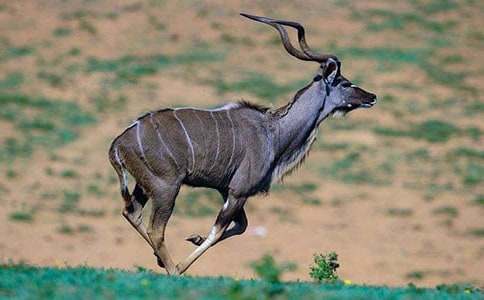 �x������ľ���и�